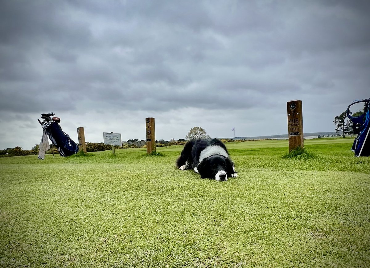 Matthew Rose tweet media