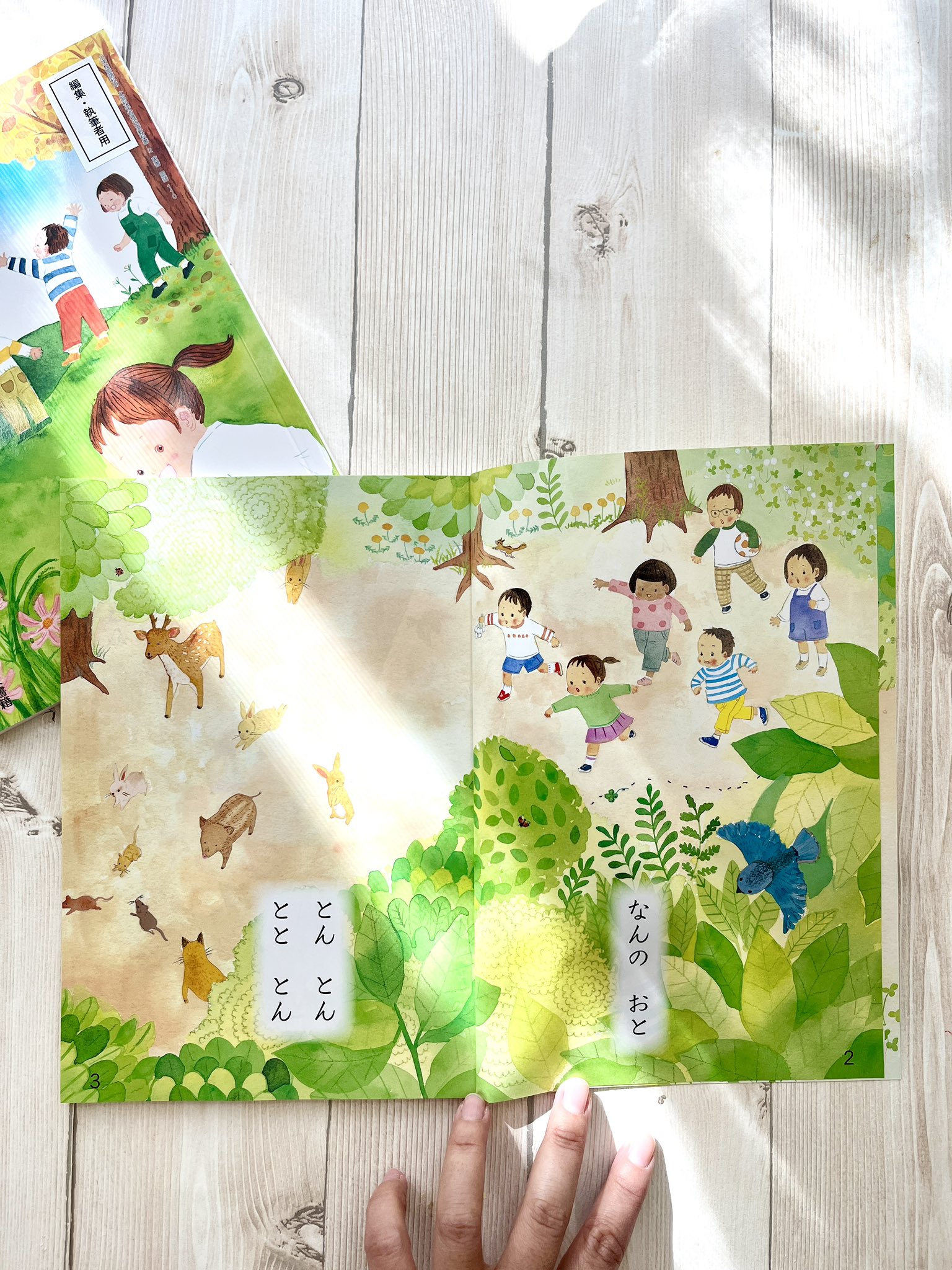 Amazon.co.jp 限定】絵本作家えがしらみちこのはじめての小さな