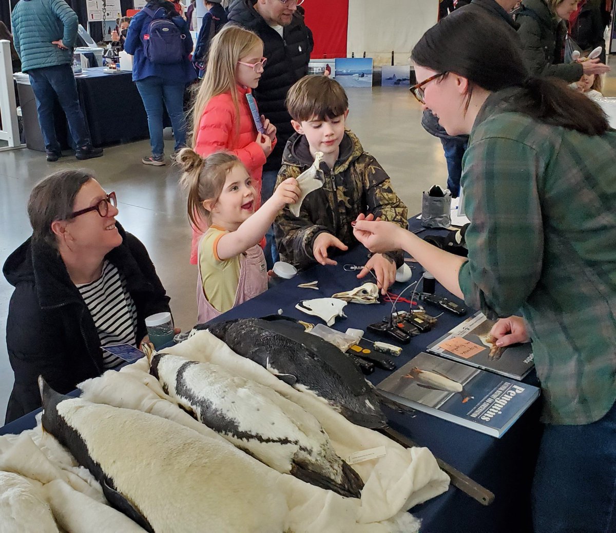 Last month we talked about our favorite seabird (hint: 🐧) at the first Polar Science Weekend in four years. Thanks for the invite @pacsci and APL - UW for inviting us, and to @burkemuseum for lending some of your penguin specimens! Photo credit: Harry Stern