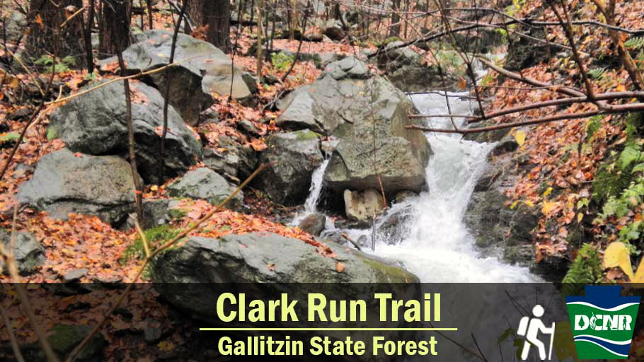 The Clark Run Trail is one of the best trails for a spring hike in #GallitzinStateForest. This two-mile trail winds through the scenic Clark Run Gorge past small waterfalls and #SpringWildflowers. Learn more ➡ bit.ly/3zRfZWJ. #TrailTuesday #GetOutdoorsPA #PaStateForests