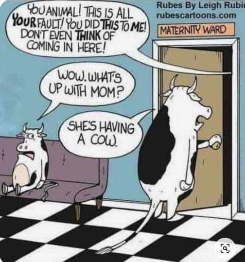 Just a little humor to start your day!! #TuesdayHumor #HavingACow #AvonRep #pamsavonshop avon.com/repstore/pamwa…