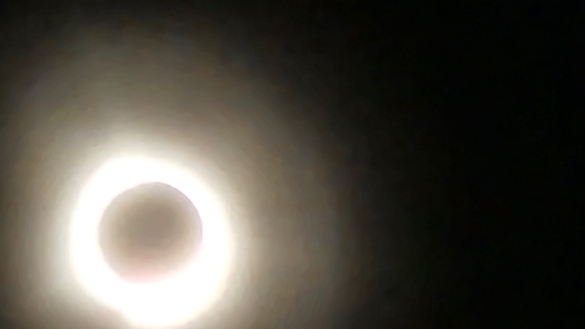 n2xtx's tweet photo. Solar eclipse at the Cleveland zoo. @breeder_j  @irvineseedco #growyourown @Henry117_ #weedmob #Mmemberville #CannabisCommunity #cannabisindustry #cannabisculture #cannabisgrower #Irvinearmy #StonerFam #420Life #420community #WeedLovers #weedlife #smartgrowsystem https://t.co/sD0hoNkG7H