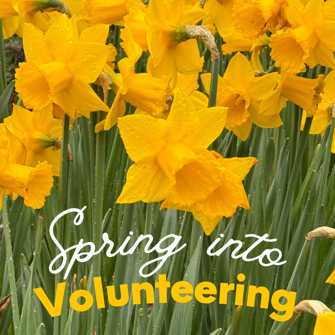 ☔️Hide from the rain this spring at our Volunteering Hub 'The Salon' in Dalkeith! We've got a range of activities: 🌼Volunteer Drop-In ☕️ESOL Conversation Café 📲Digital Support Drop-In For times & more info visit our website: thirdsectormidlothian.org.uk/.../the-salon/