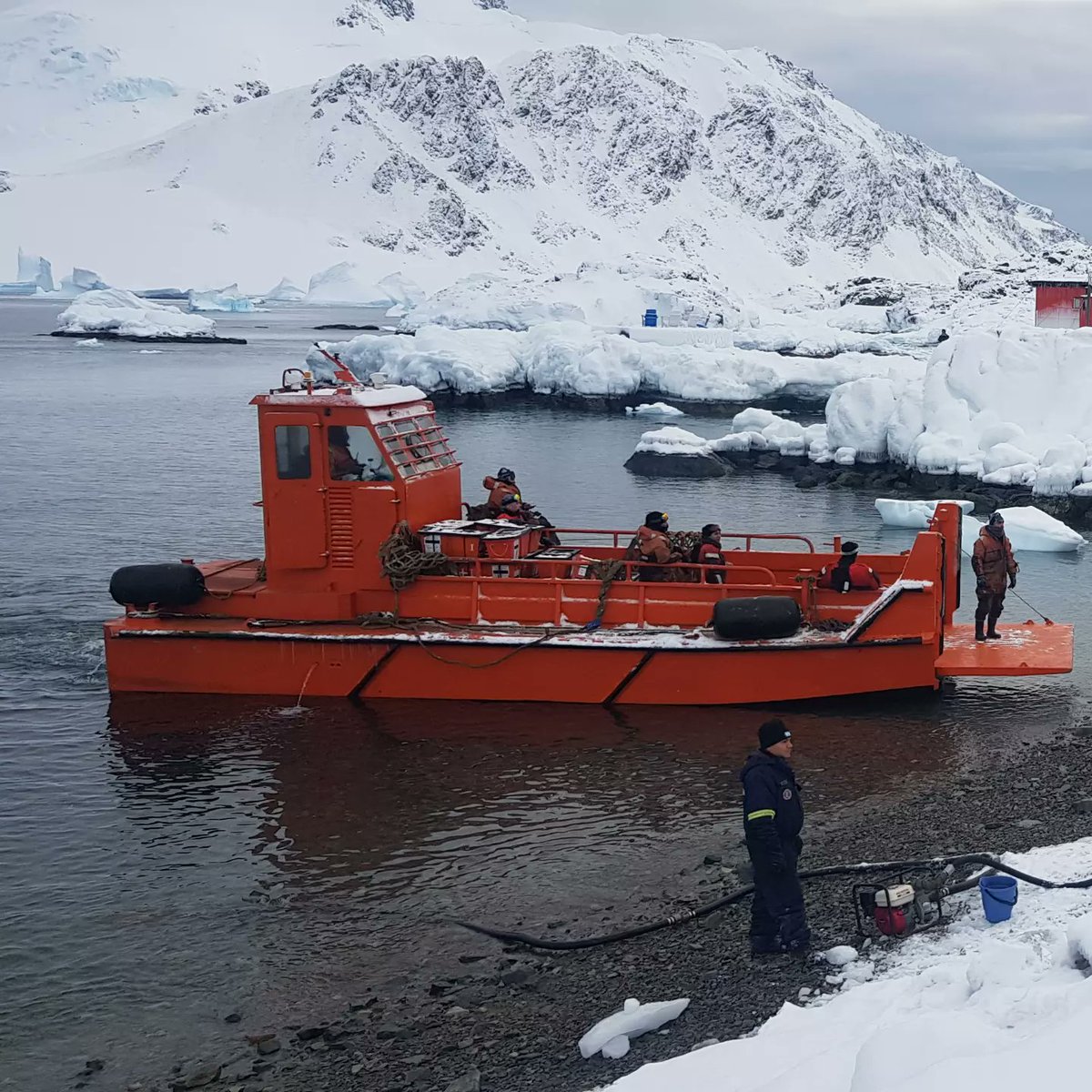 Comando Conjunto Antártico tweet media