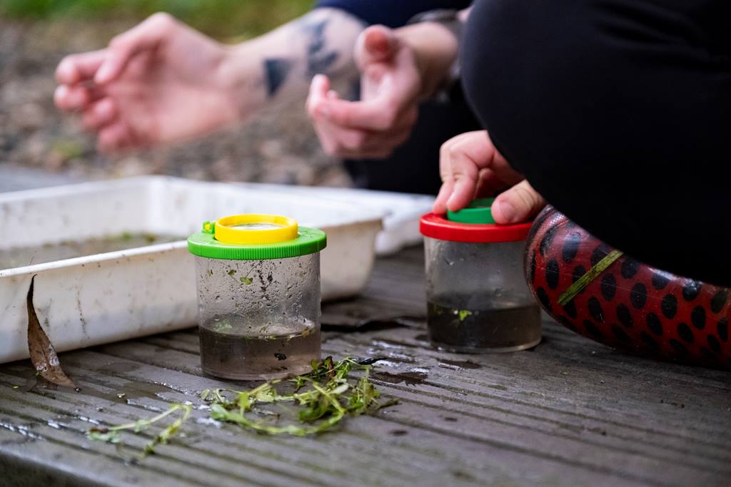 Pond dipping is a great way to learn about what lives beneath the surface of the water. Some of which you may see flying around in summer, such as dragonfly nymphs! We've got it running until Sunday 14th April (closed Friday and Saturday).