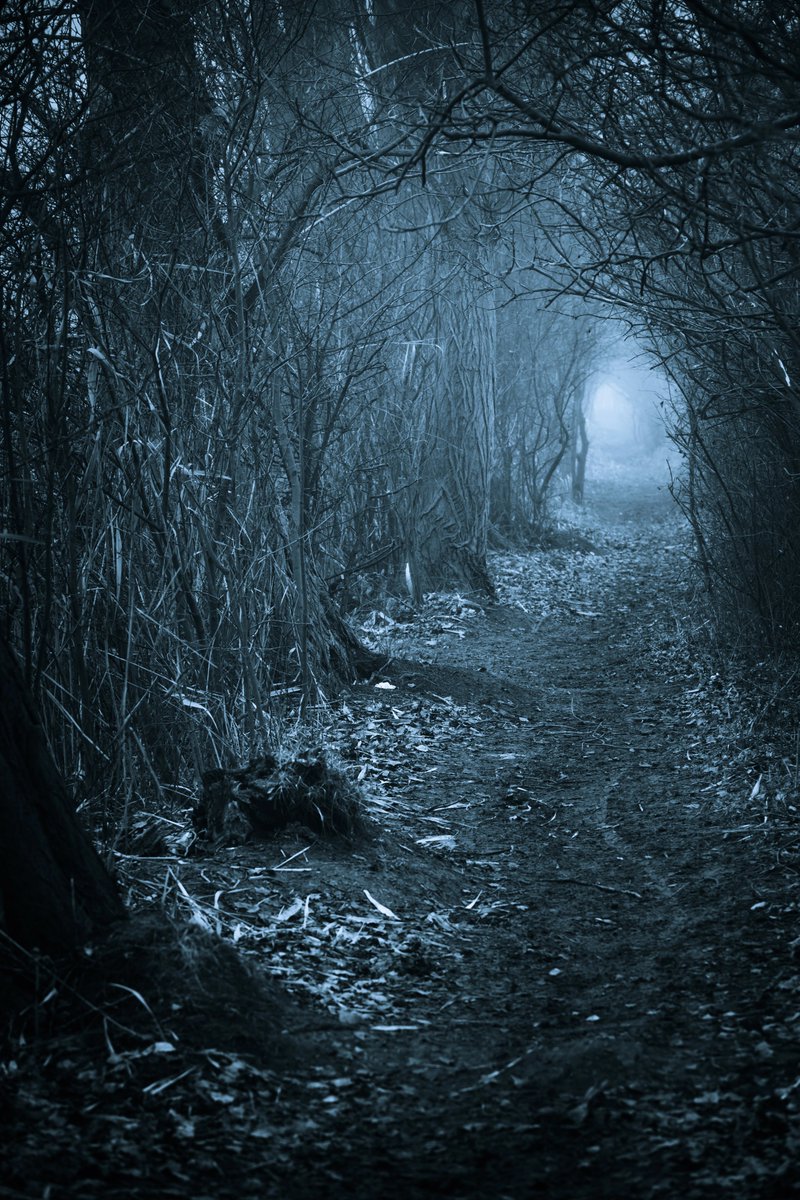 Can you hear the whispers from the countryside? A light signifies hope… Or does it?

#nicolasolvinic #mysteryauthor #crimeauthor #thrillerwriter #criminology #criminologymastermind #crimefiction #crimethriller #crimenovels #detectivenovels #suspensenovels #thrillerbooks
