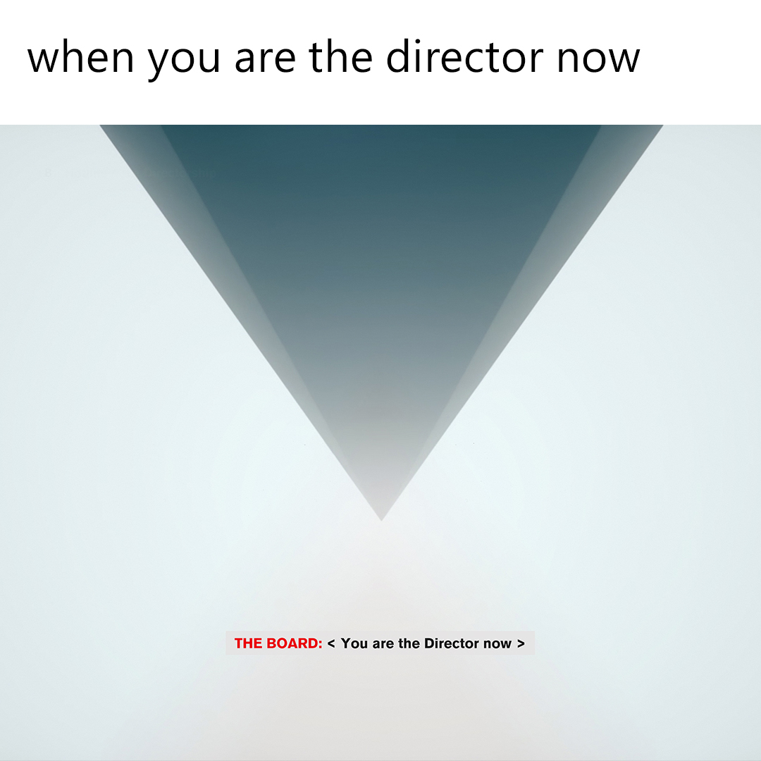 looks like you're the Director now 🤷