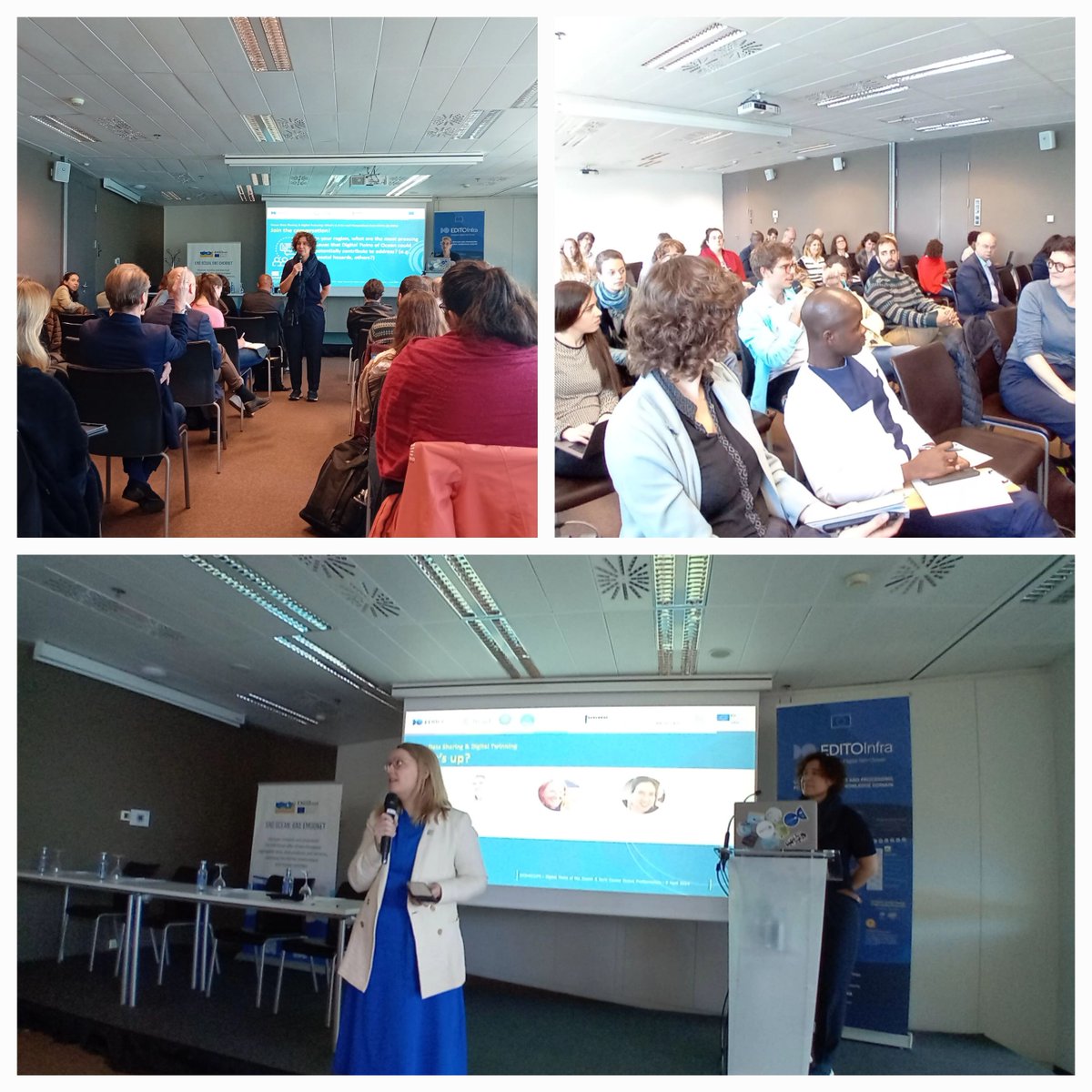 🌊 Kate Larkin, Head of EMODnet Secretariat, highlighted EMODnet's role in the European Digital Twin Ocean at the #DTO4ECOPS satellite event today! 🌍 Stay tuned for more updates from the session & contribution to a smarter @SustainableOcean! @edito_dto @SeascapeBelgium @EU_MARE