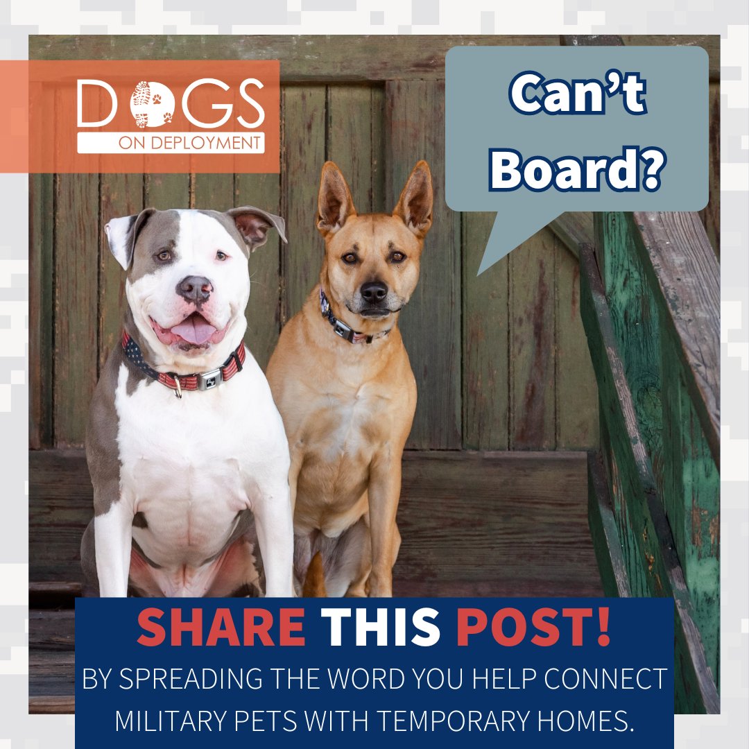 Dogs on Deployment tweet media