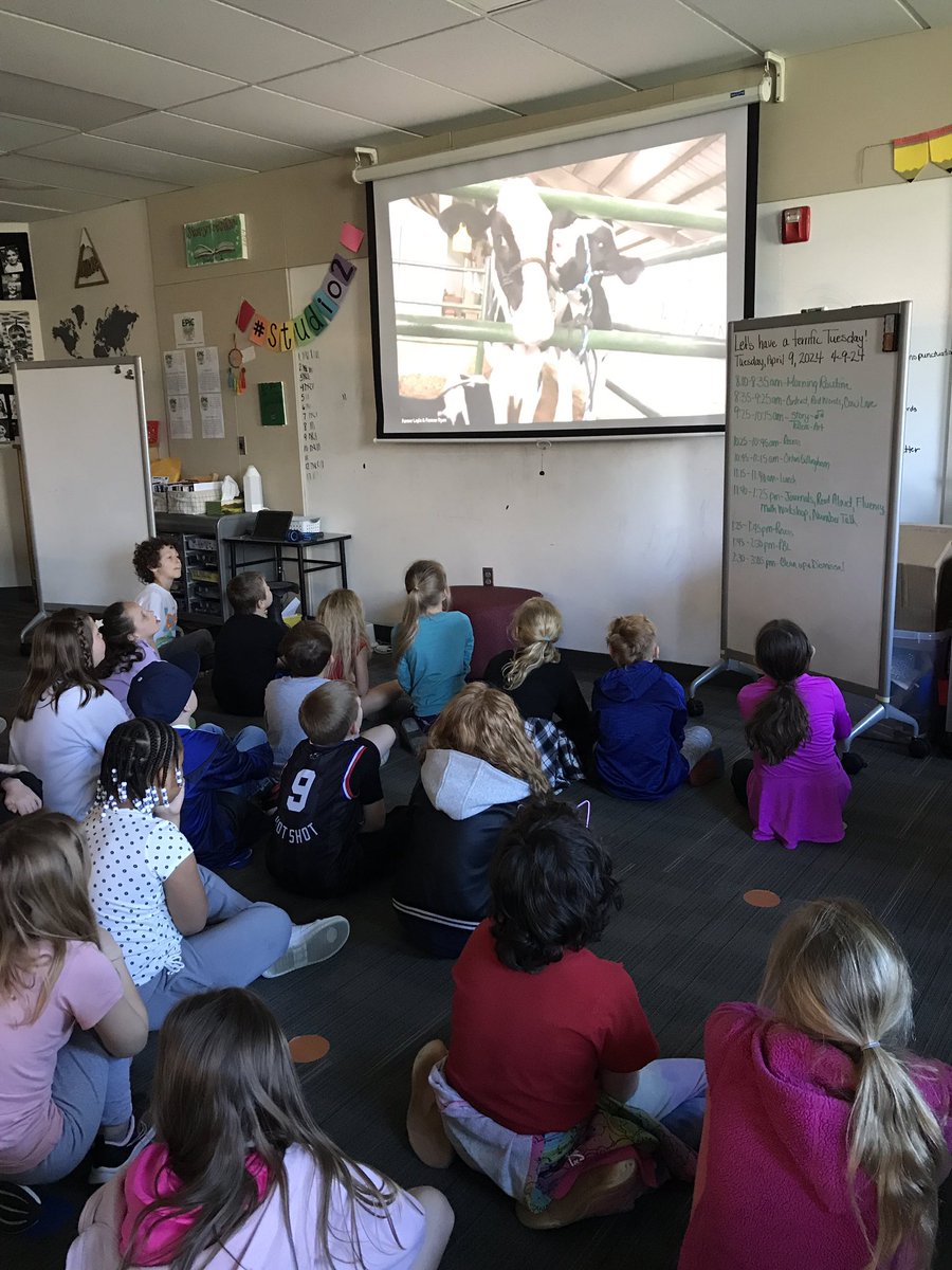 Christine Torres (@torresepic2nd) on Twitter photo Live chat to check on our pet cow, Amplify. She’s doing great! 🐮 ❤️ #Adoptacow #proudpetowners <a href="/EpicElementary/">EPiC Elementary</a> <a href="/EpicStudioTWO/">Epic Studio 2</a> Live chat to check on our pet cow, Amplify. She’s doing great! 🐮 ❤️ #Adoptacow #proudpetowners <a href="/EpicElementary/">EPiC Elementary</a> <a href="/EpicStudioTWO/">Epic Studio 2</a>