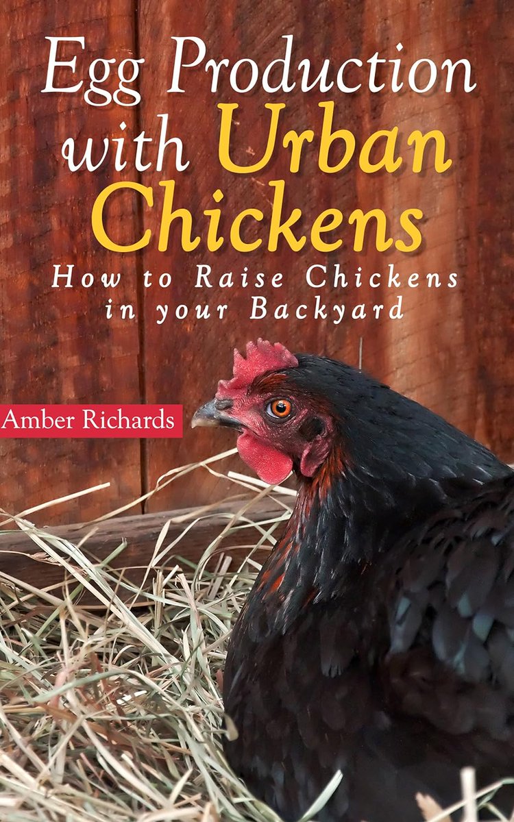 #Ebook #FreePromotion 4/9 - #Egg Production with Urban #Chickens: #Howto #RaiseChickens in Your #Backyard.  With the price of eggs, why not raise your own? #BooksWorthReading #BookishCommunity #Bookish #EbookDeal #Bibliophile #BookishLife #NonFiction
amzn.to/3J8eji6