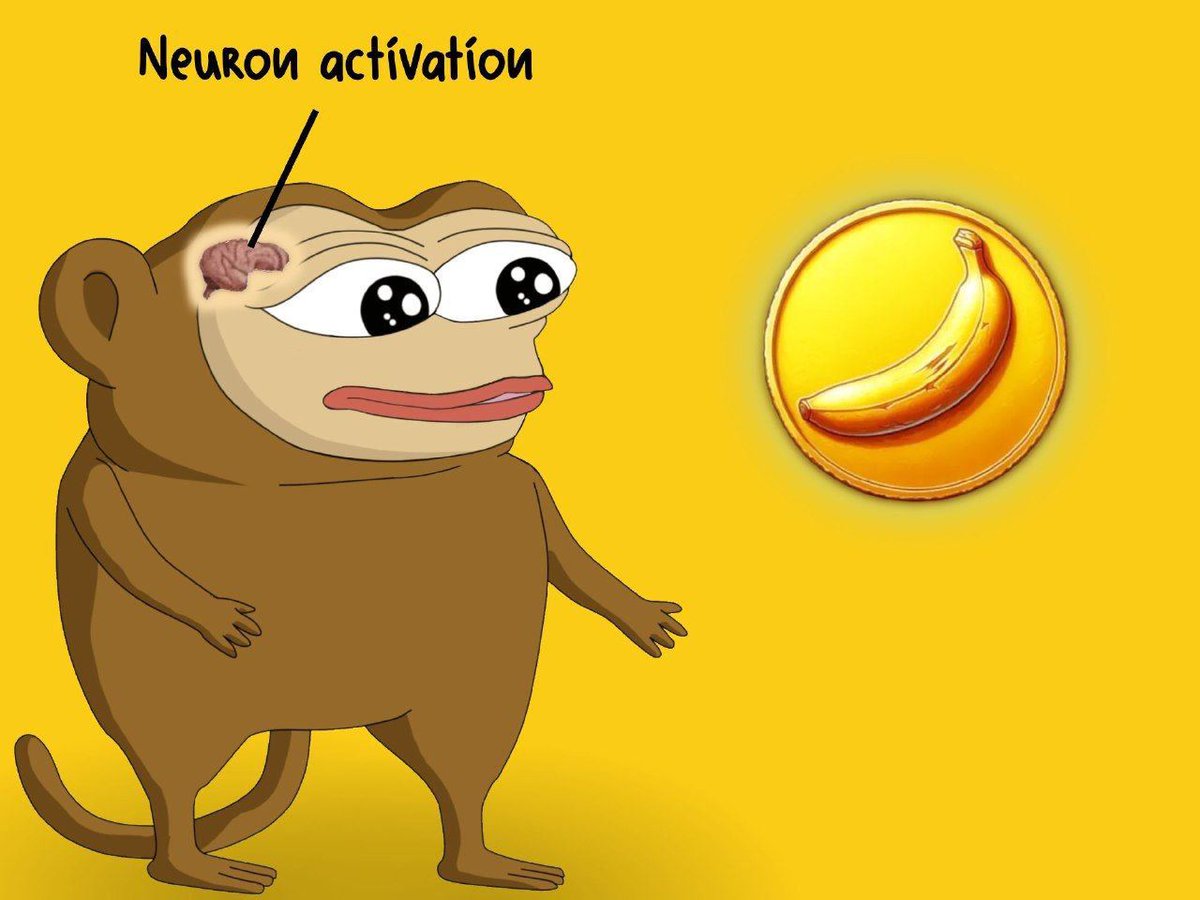 Enter the world of @MonkeyPeepo! 🌍🐵 A place where community and rewards  are the essence. Participate, share and earn $BANANAS 🍌, because each  member is valuable and deserves to be rewarded 💰