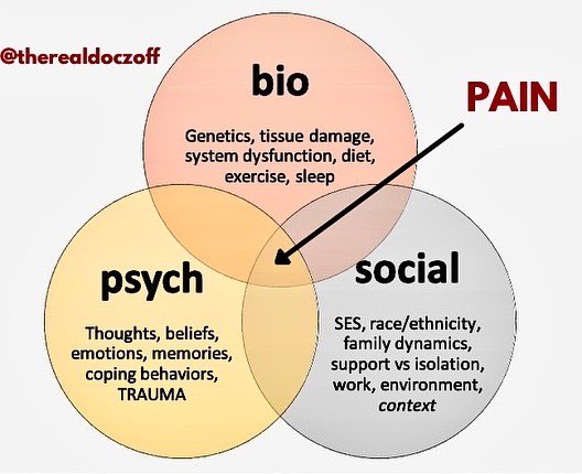 👉🏼 Diagnoses that respond to diet, exercise, sunshine, nature, social support, sleep + stress reduction: ✔️high cholesterol ✔️heart disease ✔️anxiety ✔️depression ✔️diabetes ✅ CHRONIC PAIN 🔥🔥🔥 Health is biopsychosocial, so Treatment must be, too. 🙏🏼 #MedTwitter #MedEd 🧠