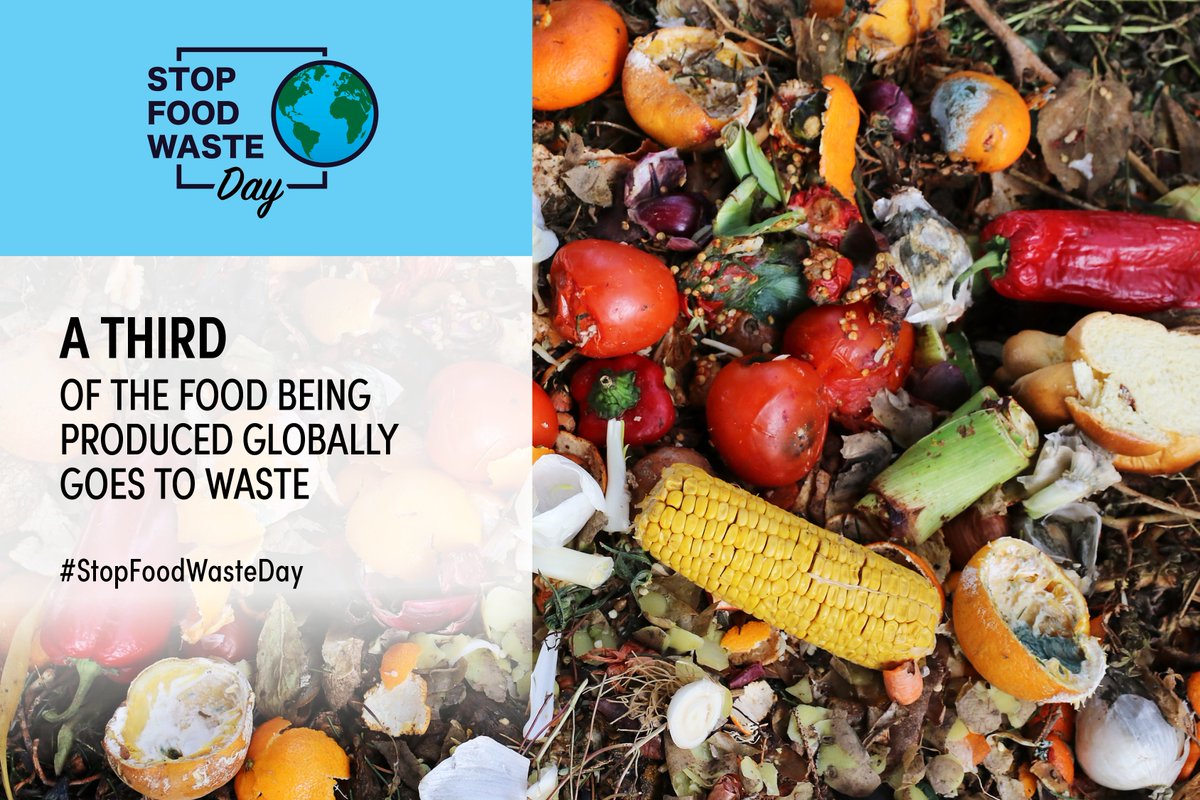 Stop Food Waste Day is here! Today serves as a crucial reminder for all of us to actively participate in minimising food waste on a daily basis. Shockingly, a third of the food being produced globally goes to waste! Follow @_StopFoodWaste_ for more information