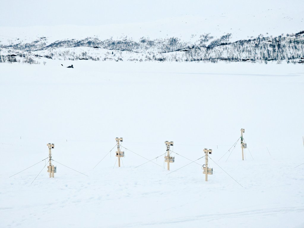 Georgia Melodie Hole tweet media