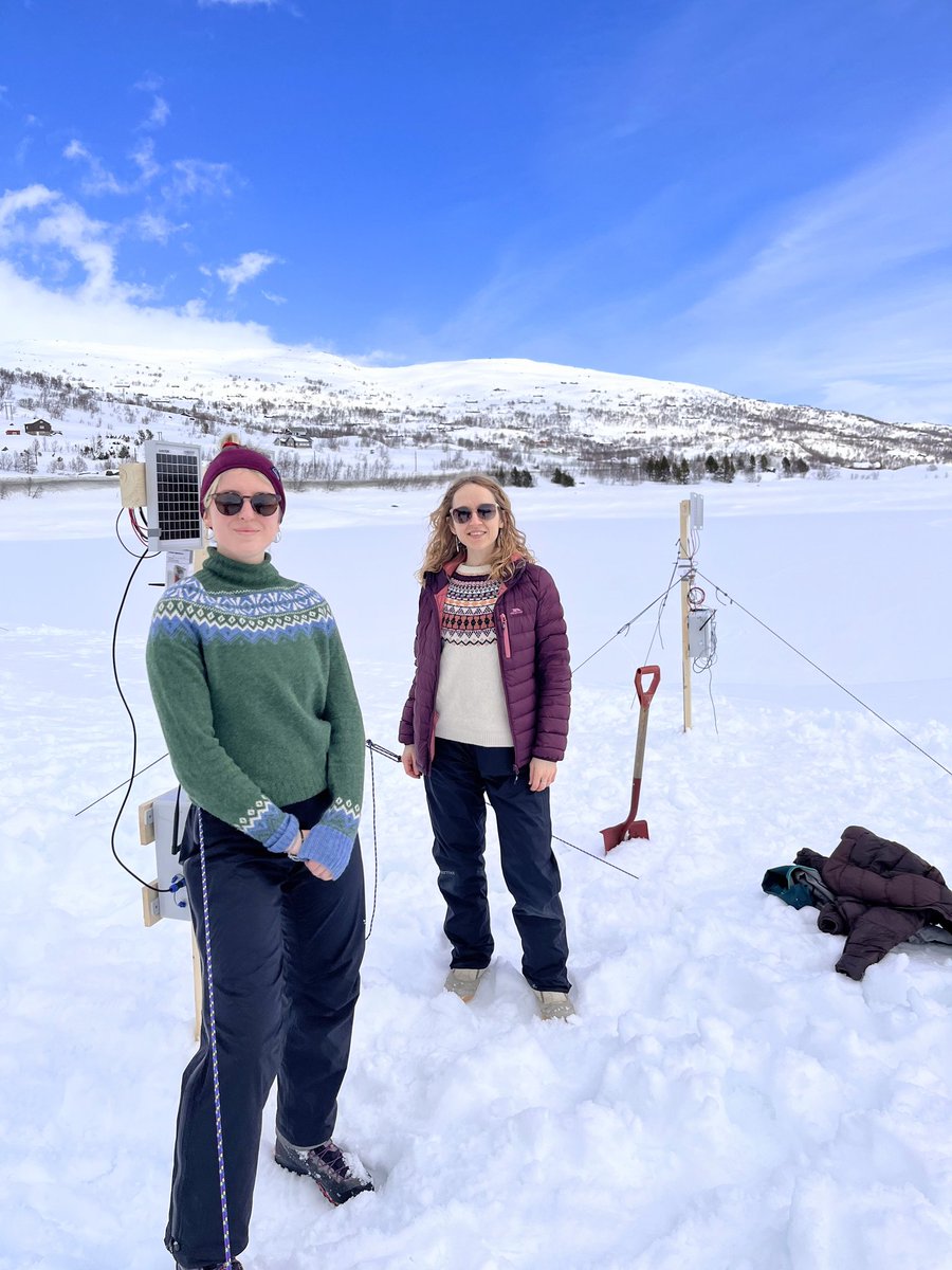 Georgia Melodie Hole tweet media