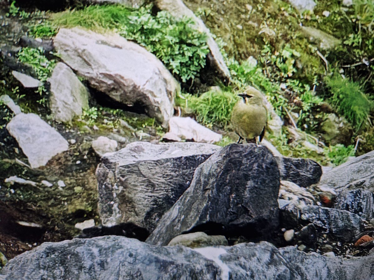 Agami Photo Agency tweet media