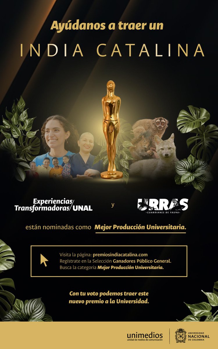 #ComunidadUNAL Dos de las producciones de @TelevisionUNAL han sido nominadas en la categoría de “Mejor producción Universitaria” en la edición 2024 de los @PremiosIndia Catalina y con el voto de cada uno de ustedes podremos traernos la estatuilla 👉 premiosindiacatalina.com ¡Vota!