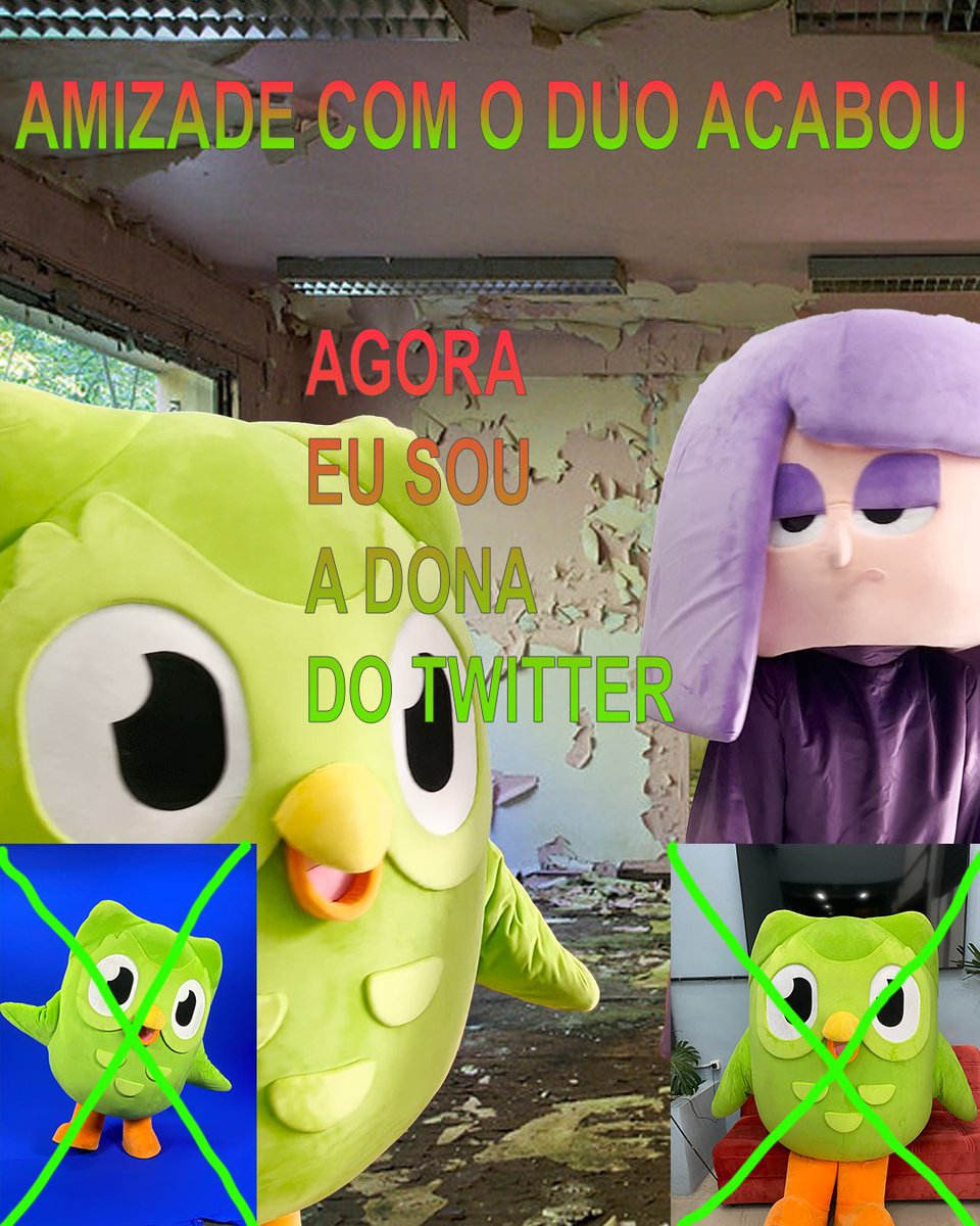 Duolingo Brasil 🇧🇷 tweet media
