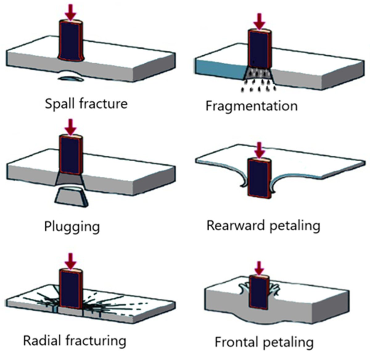 #OpenAccess #HighlyAccessedArticles 🎉Characterization of Low- and High-Velocity Responses of Basalt–Epoxy and Basalt–Elium Composites Authors: Jesse Joseph Llanos, Ke Wang and Farid Taheri Read the full paper here: mdpi.com/2073-4360/16/7…