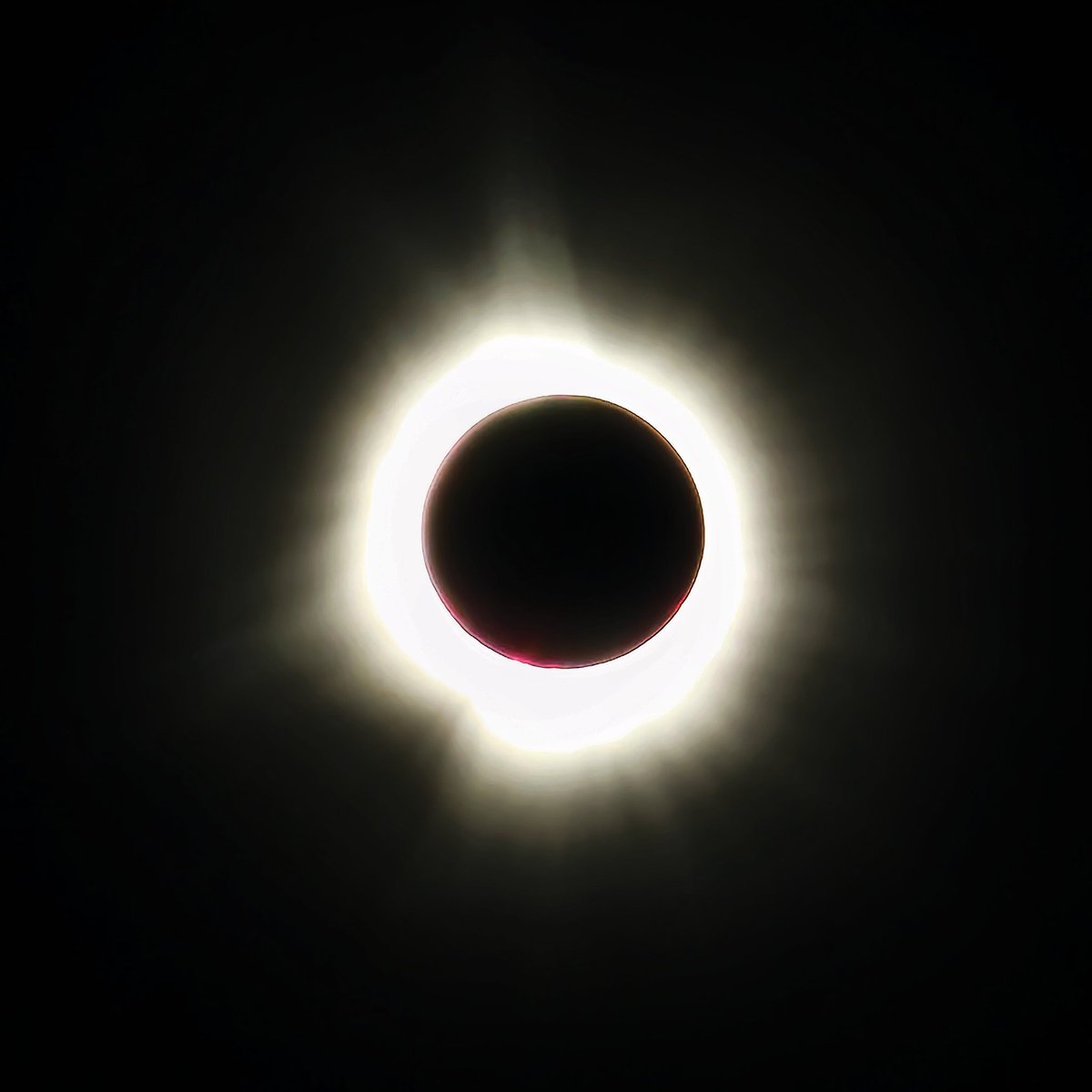 modnarwolf's tweet image. 