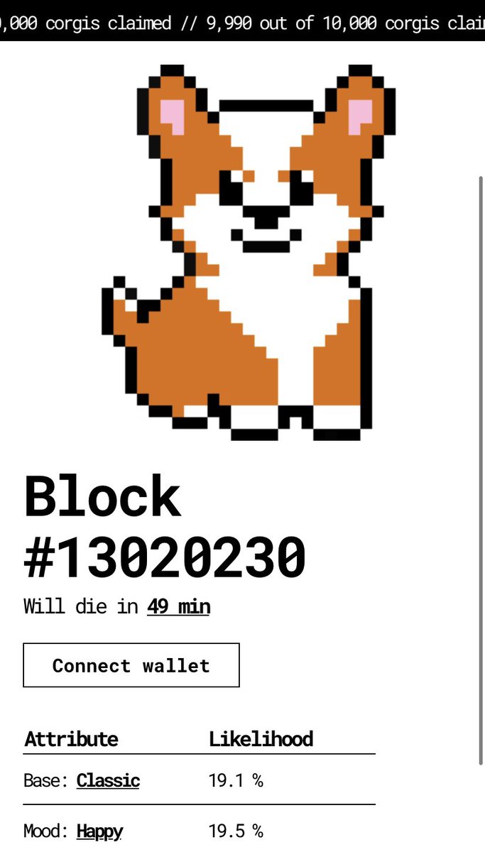 Who was there for the auction? 🐾 

<a href="/crypto_corgis/">CryptoCorgis</a> $CORGI