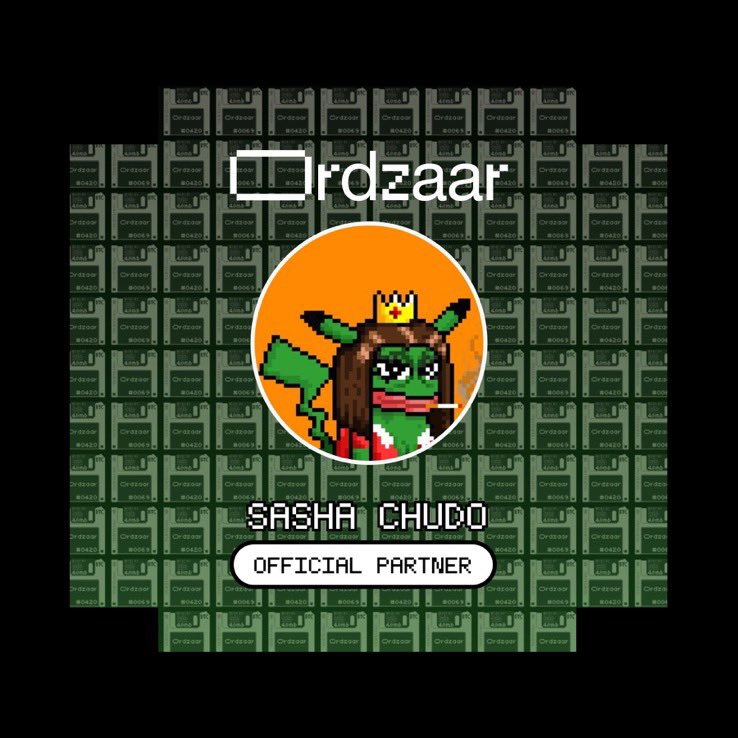 SASHA CHUDO tweet media