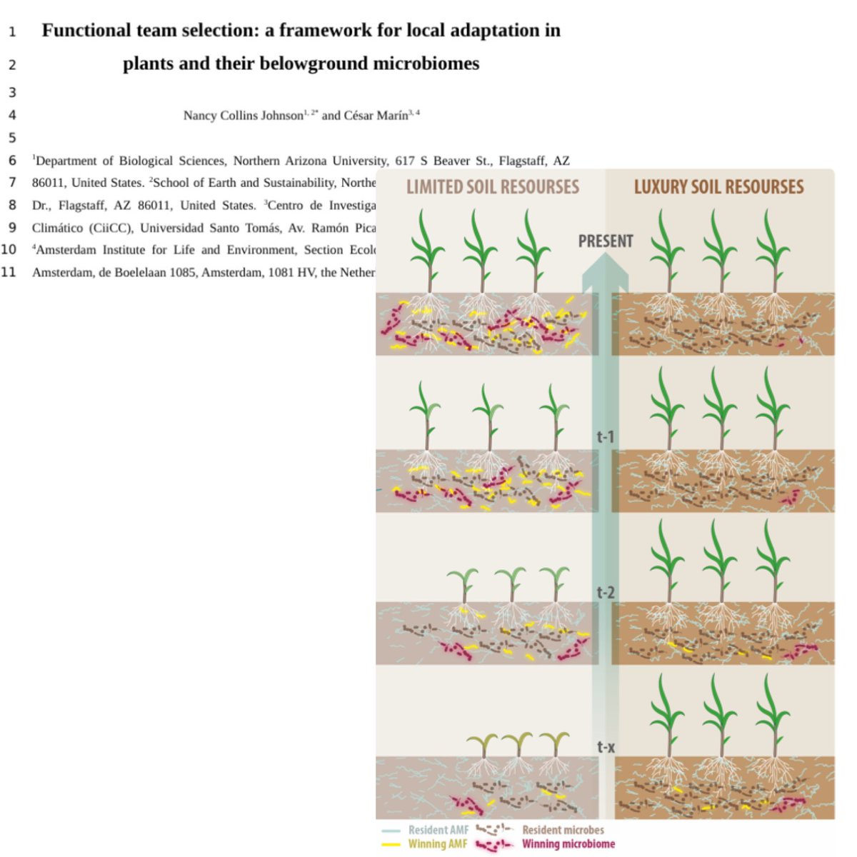 New #preprint out in @ecoevorxiv co-authored with Nancy Collins Johnson: “Functional team selection: a framework for local adaptation in plants and their belowground microbiome”.
#Mycorrhiza #Microbiome #Holobiont #ComplexAdaptiveSystems #Hyphosphere 

doi.org/10.32942/X27G91