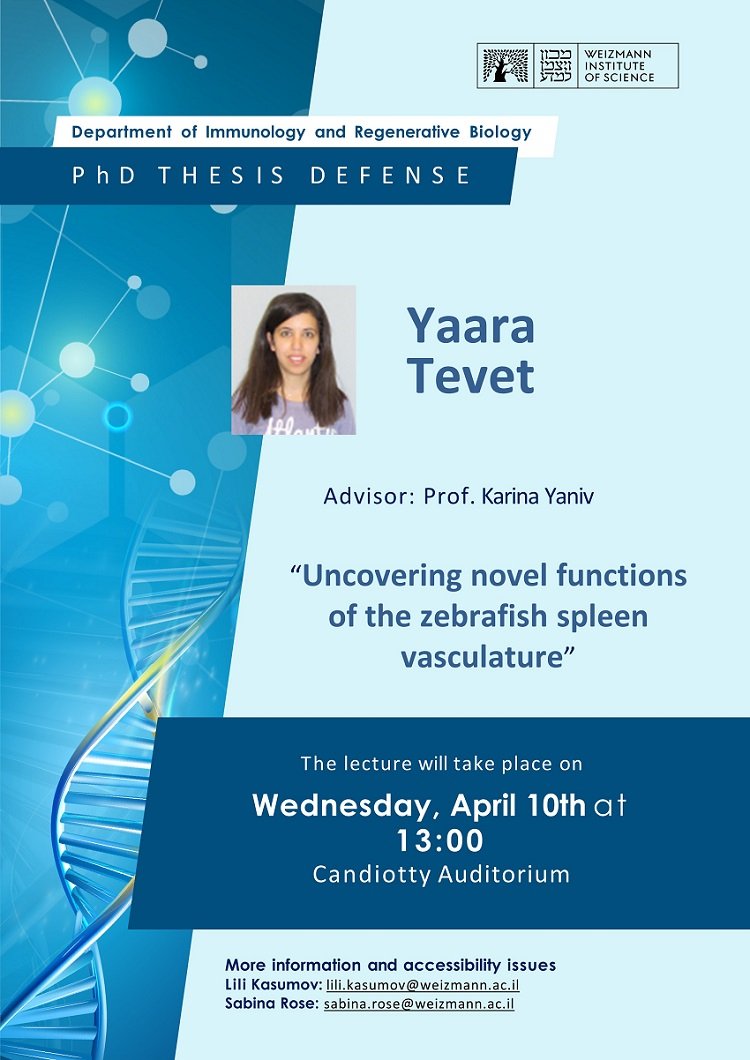 Tomorrow (10.4) Yaara Tevet <a href="/YaaraTevet/">Yaara Tevet</a> will present for her PhD thesis defense on the subject: Uncovering novel functions of the zebrafish spleen vasculature.

Good luck Yaara! 💪🏻