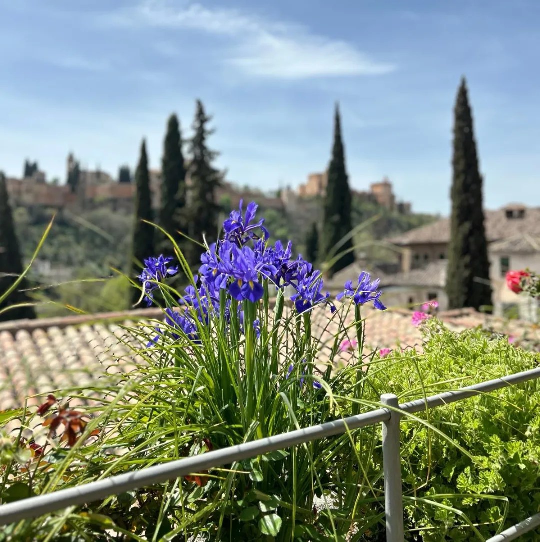 La influencia andalusí en la ciudad de Granada se palpa en cada rincón de sus barrios históricos. En el Albaicín una visita imprescindible es la Casa del Chapiz, dos viviendas moriscas con huerta, jardín y alberca con privilegiadas vistas a La Alhambra.