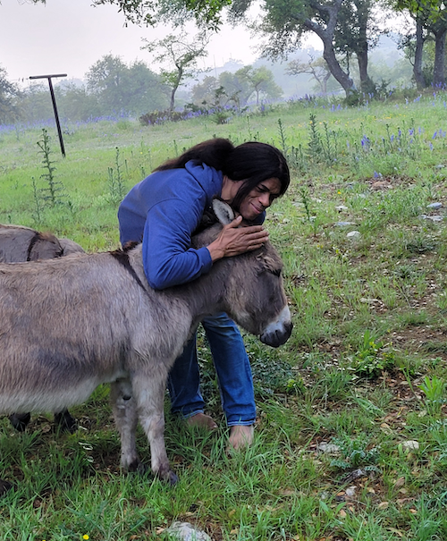 Have you hugged a donkey today?