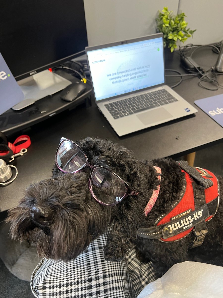 It's a ruff day at the office, but thankfully, our Head of Barketing is on the job, keeping morale high and ensuring everyone stays pawsitive! 🐾 hashtag#TeamSpirit hashtag#OfficeLife hashtag#BarketingExecutive 🐶✨