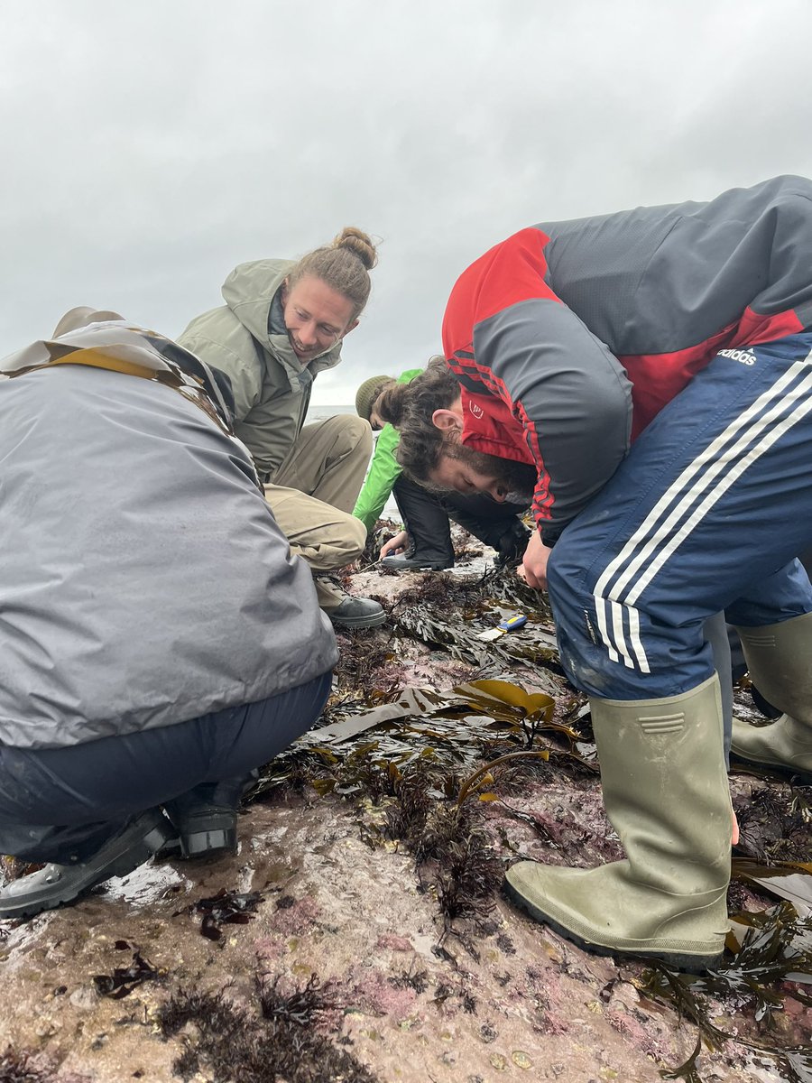 Rachael Priest tweet media