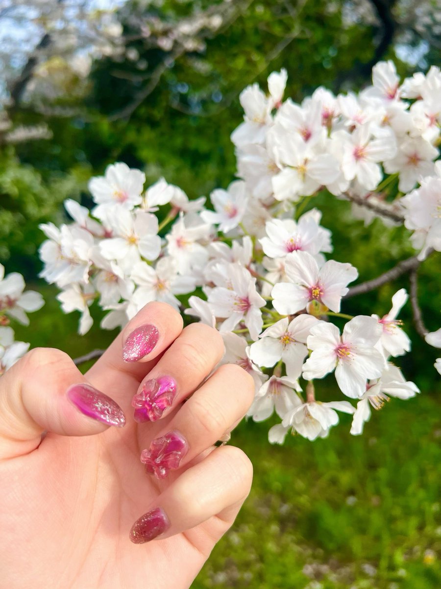 ayu718__'s tweet photo. 桜🌸満開
お花見したい🌸 https://t.co/jjp1RgXqrA