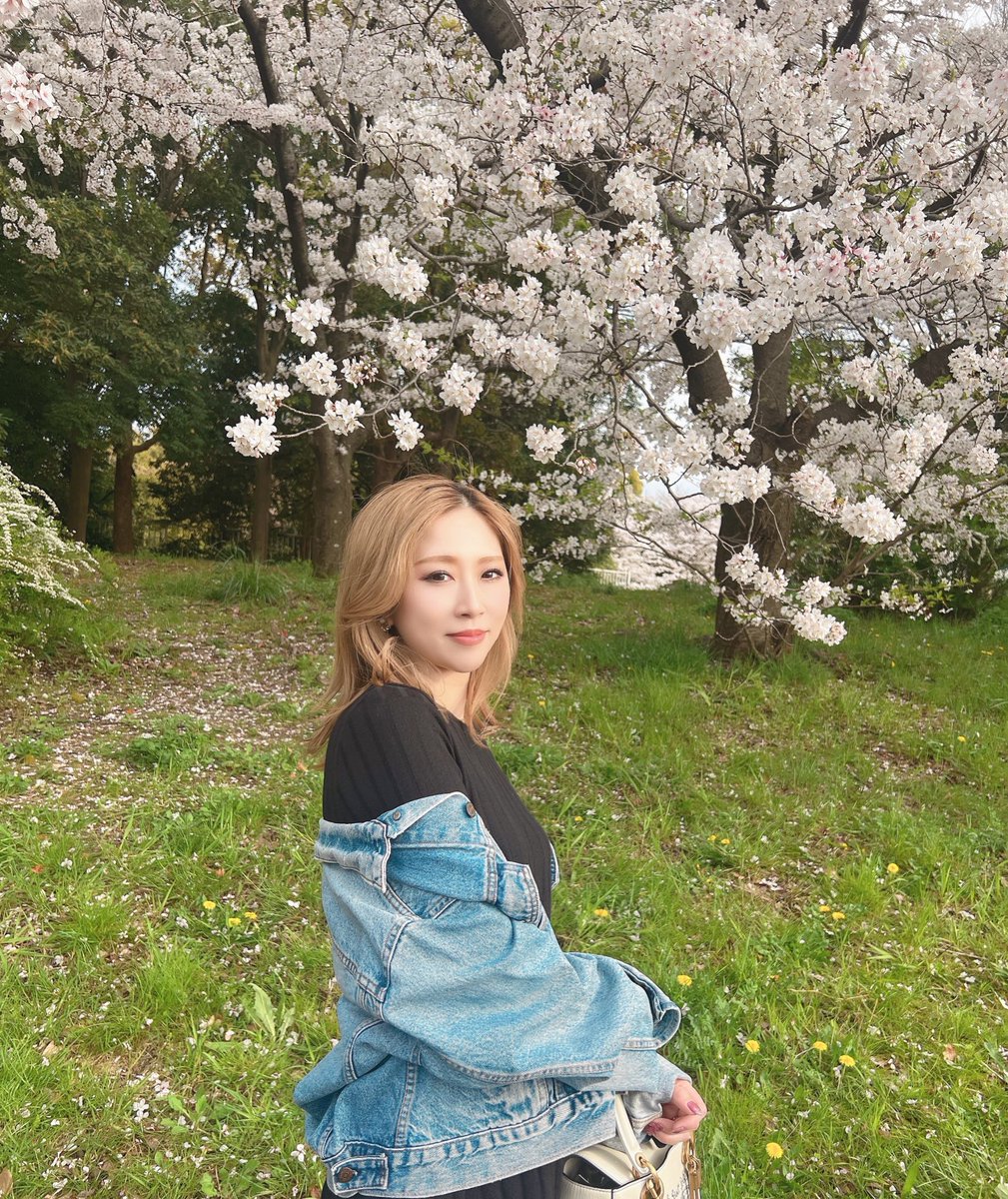 ayu718__'s tweet photo. 桜🌸満開
お花見したい🌸 https://t.co/jjp1RgXqrA