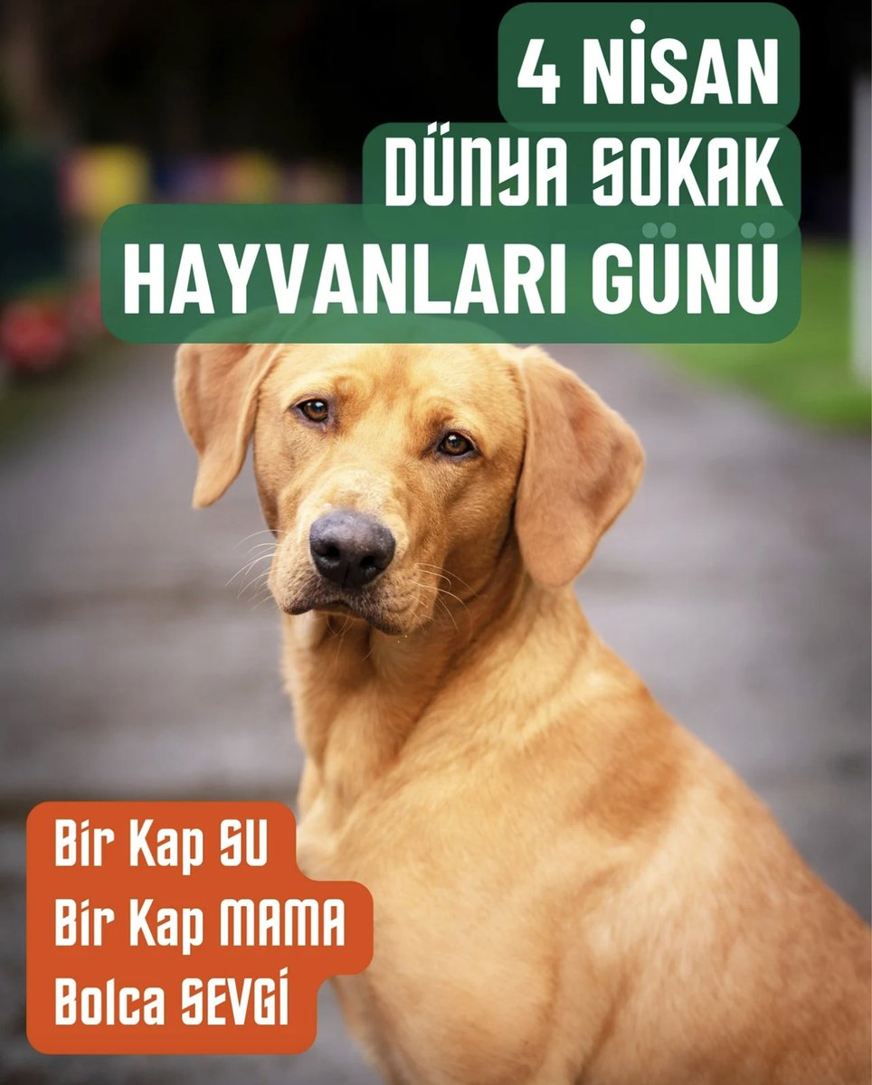 beyinemari's tweet photo. https://t.co/PGYQHgDyAp