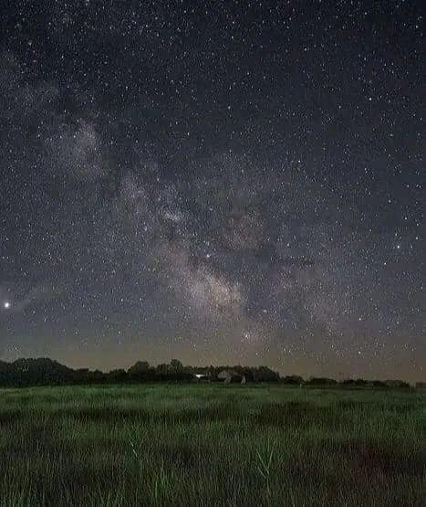 under the stars