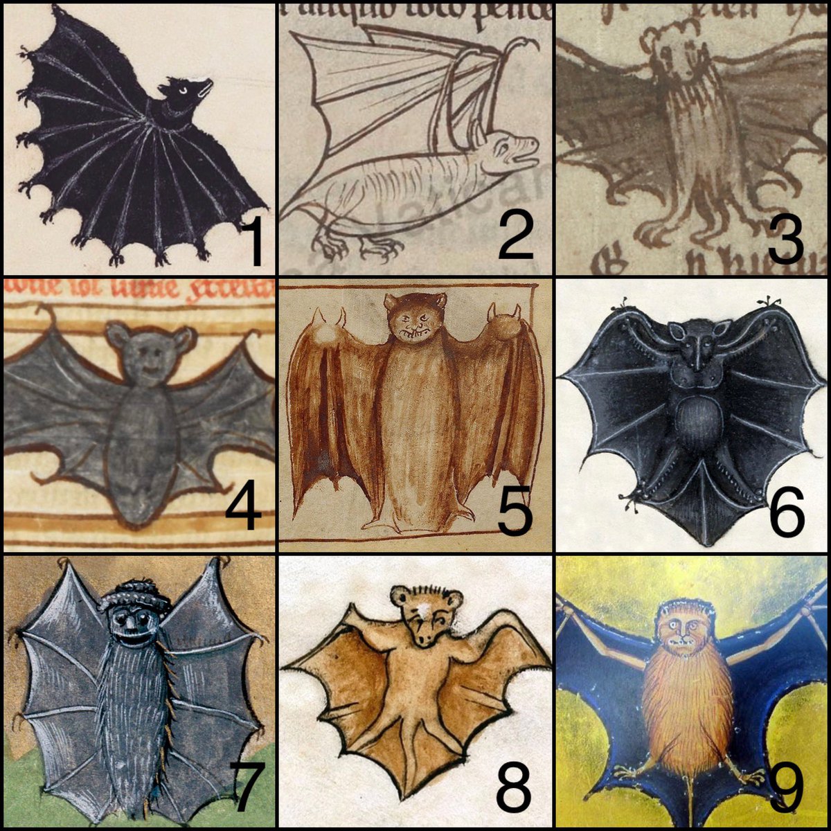 Which medieval bat are you today? 🦇