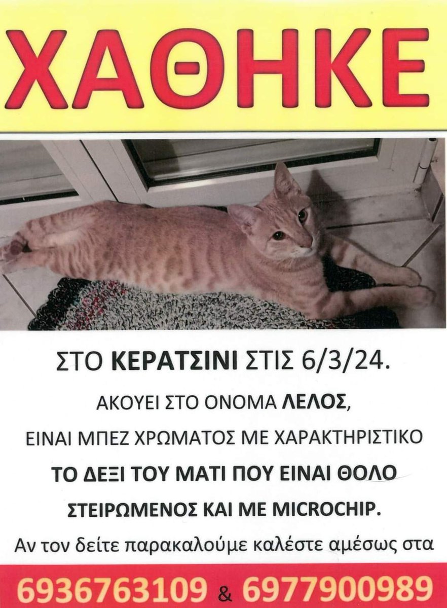 ΑΤΤΙΚΗ