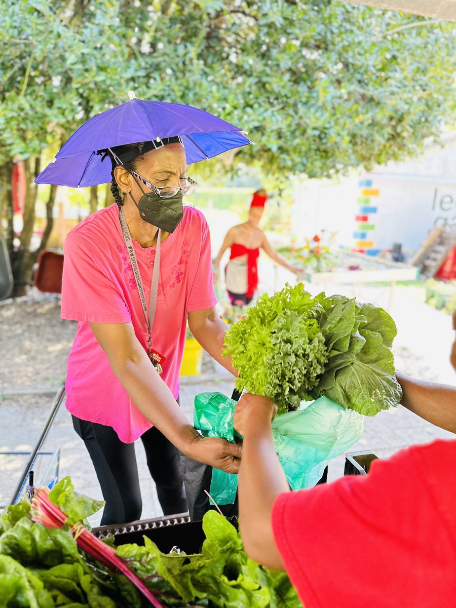 Join us Weds.- 🥬Produce Giveaway: Lederer Gardens 10AM-1PM DPR partners with @foodbankmetrodc to provide free goods to DC residents at our communal farm. Join us on the second Wednesday of the month with your reusable grocery bag in hand. DPR.events #MorethanRec