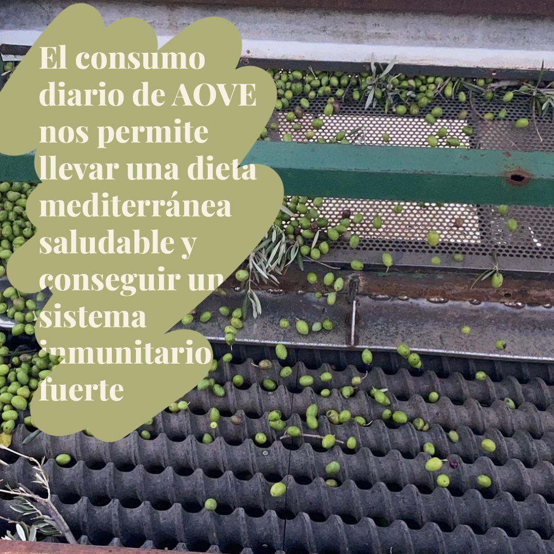 El Aceite de Oliva Virgen Extra debe pasar a ser tu aliado diario para una vida más saludable 🌱 #QvExtra #SelloSIQEV