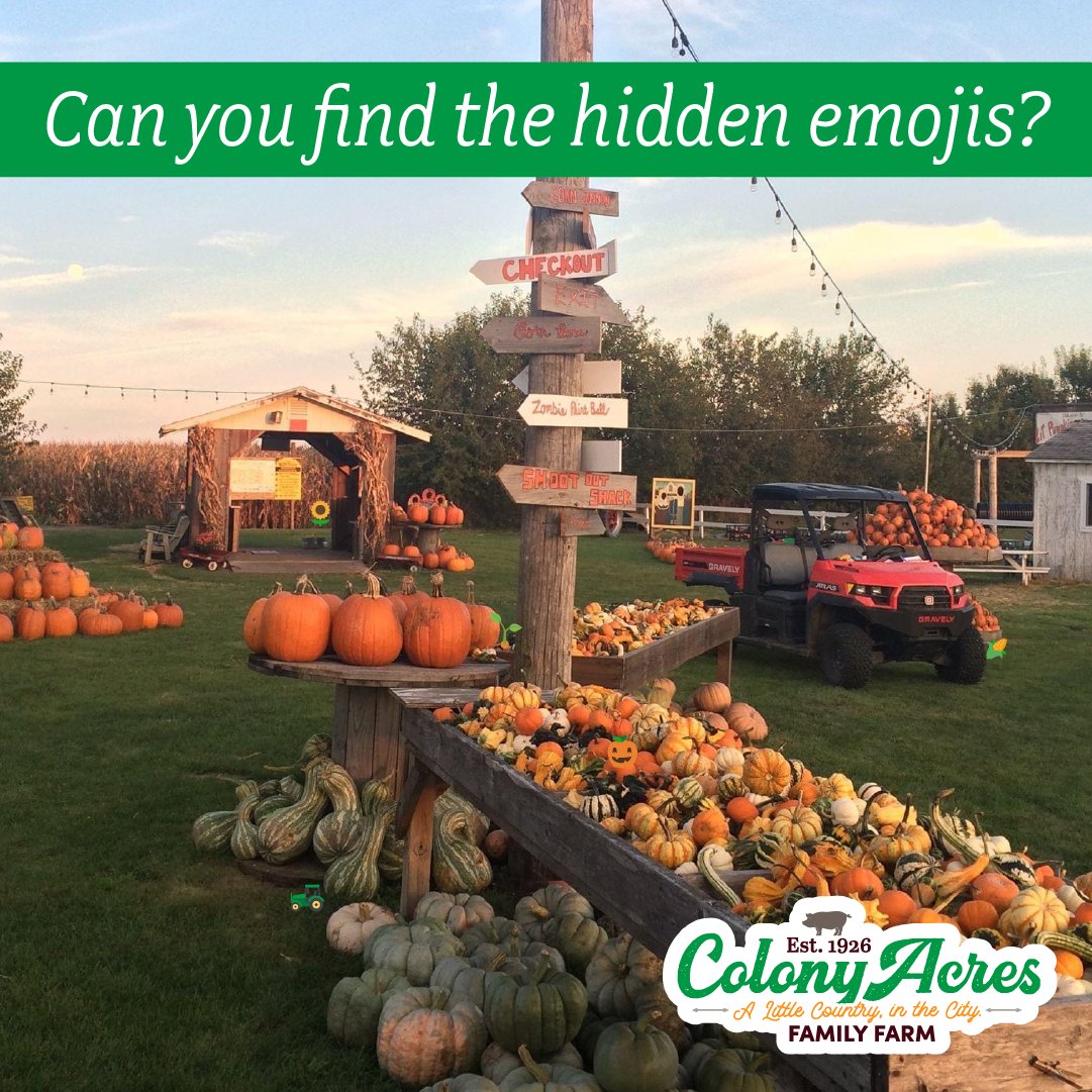 Can you find the 5 hidden emojis in this photo?? 🌻🎃🚜🌽🌱

Look closely and be sure to get your guesses in before the reveal tomorrow morning! 

#ColonyAcres #HiddenEmojiGame #FindTheEmojis #FamilyFarm