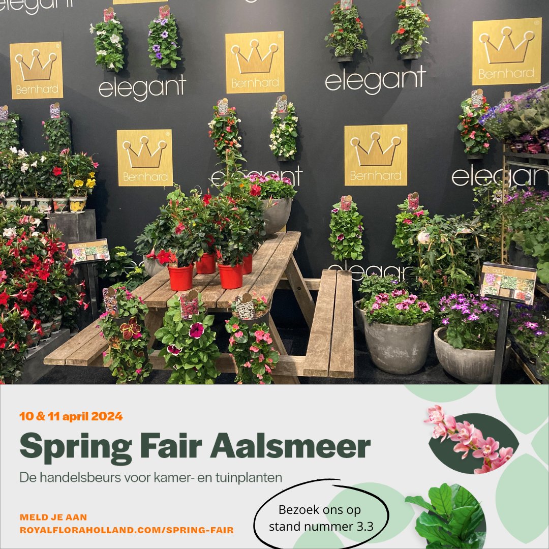 Wij zijn er klaar voor! Spring Fair Aalsmeer 📷
Wij heten u van harte welkom op standnummer 3.3. Wij presenteren hier onze vrolijk bloeiende patioplanten.

#springfair #aalsmeer #bernhardpatio #kwekerijbernhard #luttelgeest #noordoostpolder #gemaaktindenoordoostpolder