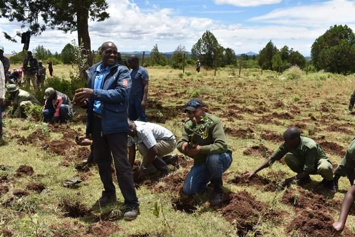 Together with our Supporters and partners-@LewaConservancy @NRT_Kenya @Tusk, Natural State, KFS,NGAO WRUA and communuty members, we planted 4050 indigenous trees around a vital water catchment area,transforming it into a thriving oasis. #Treeplanting #Mission15BJazaMiti