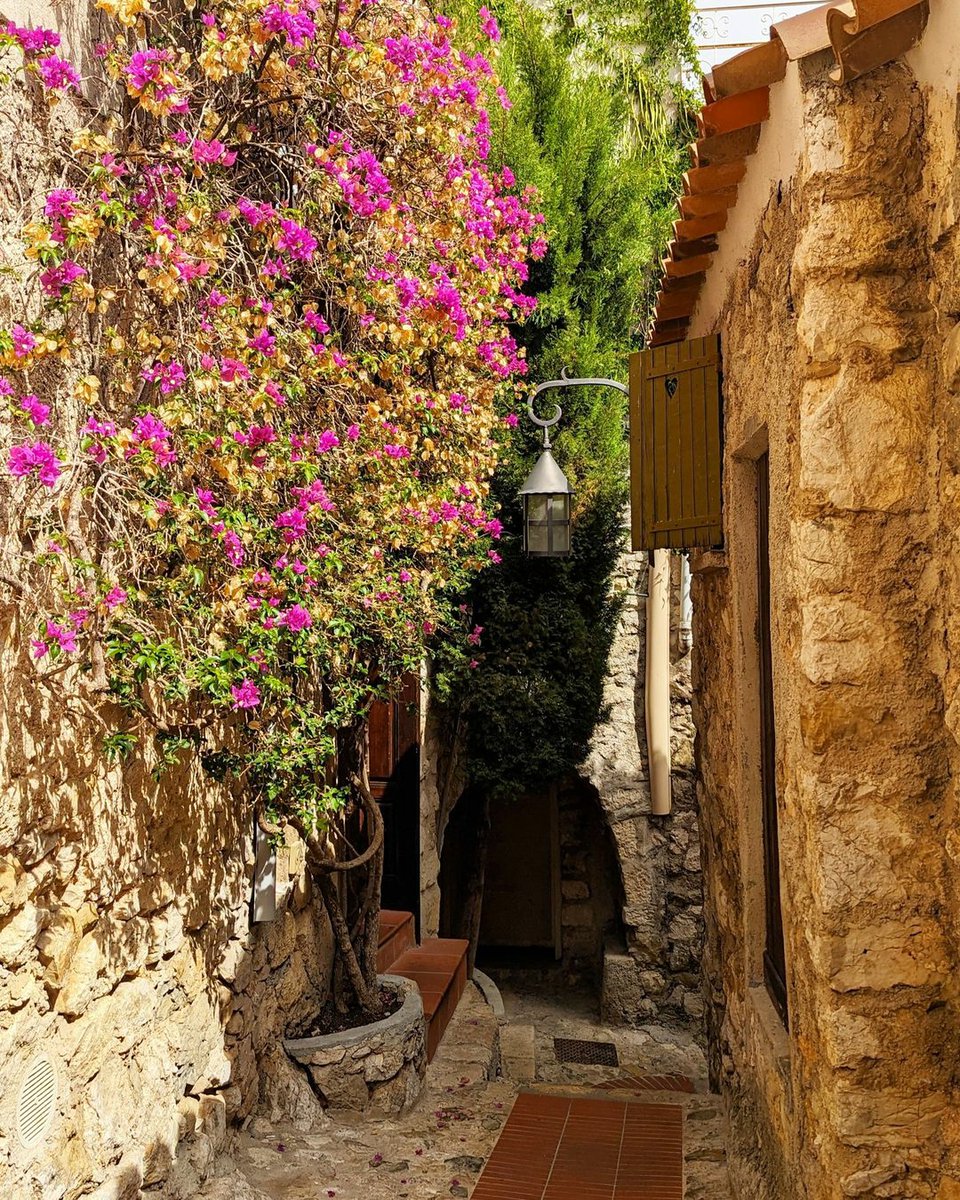 🇫🇷Les belles ruelles fleuries du village ! 🥰🌸🌿 . . . 🇬🇧The village's beautiful flower-lined alleys ! 🥰🌸🌿 . . . 📸majofacs (IG) #Eze #Ezevillage #CotedAzurFrance #ExploreNiceCotedAzur