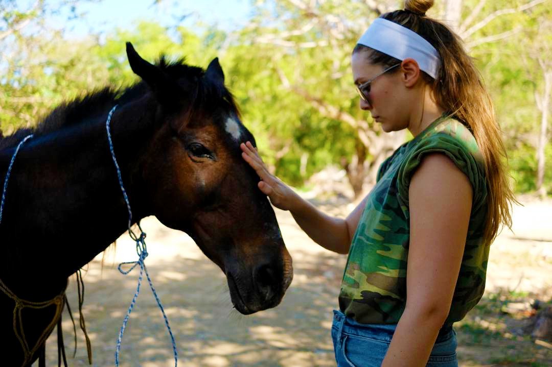 🌺Elizabeth Chase Campbell🌺 tweet media