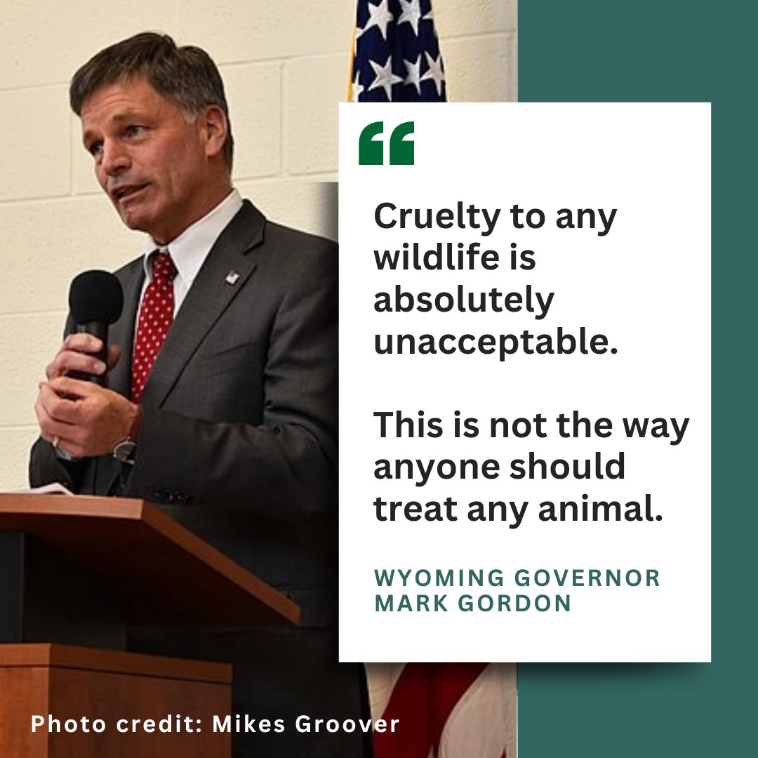 Following widespread public outrage over Cody Roberts' heinous act, Wyoming @GovernorGordon has taken a firm stance against animal cruelty.

Join us in calling for Cody Roberts to be charged with a felony: secure.everyaction.com/RvZOTzzOEk-ZlJ…

#CodyRoberts #ChargeCodyRoberts