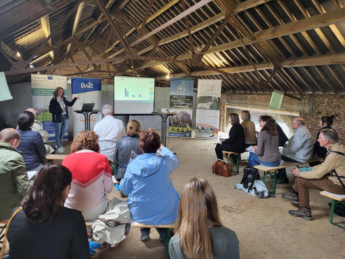 HoliCow Project tweet media