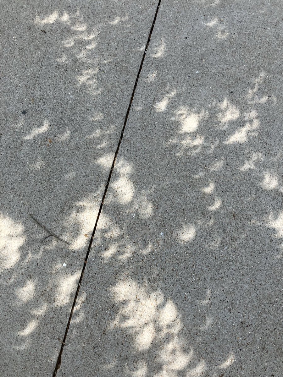 More eclipse shadows thru a live oak tree in Waco. About 15 min after totality.