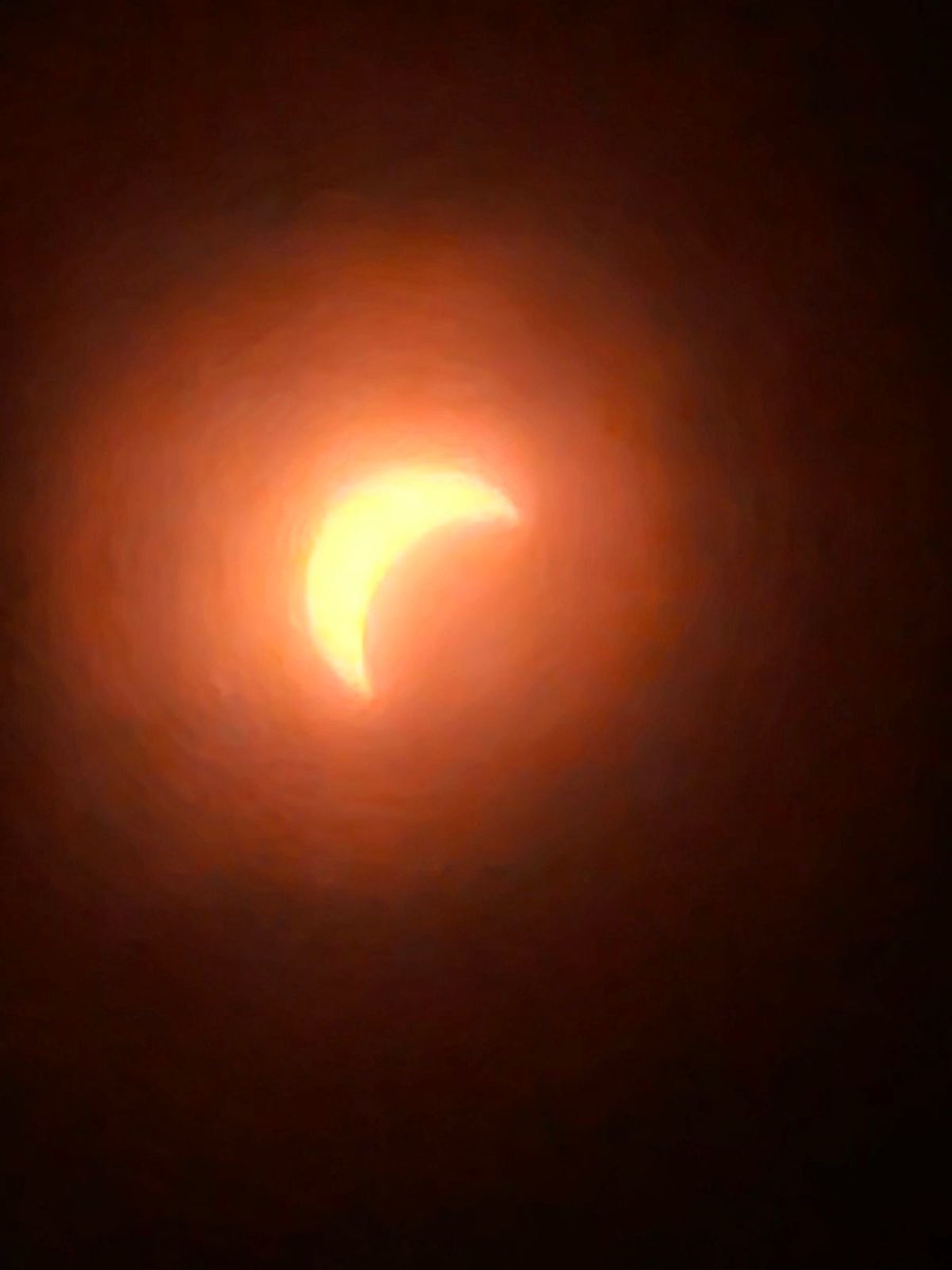 odedahan's tweet image. Amazing...